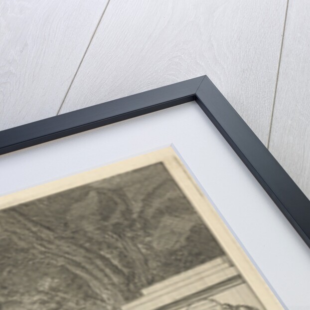 Water by Caspar Luyken