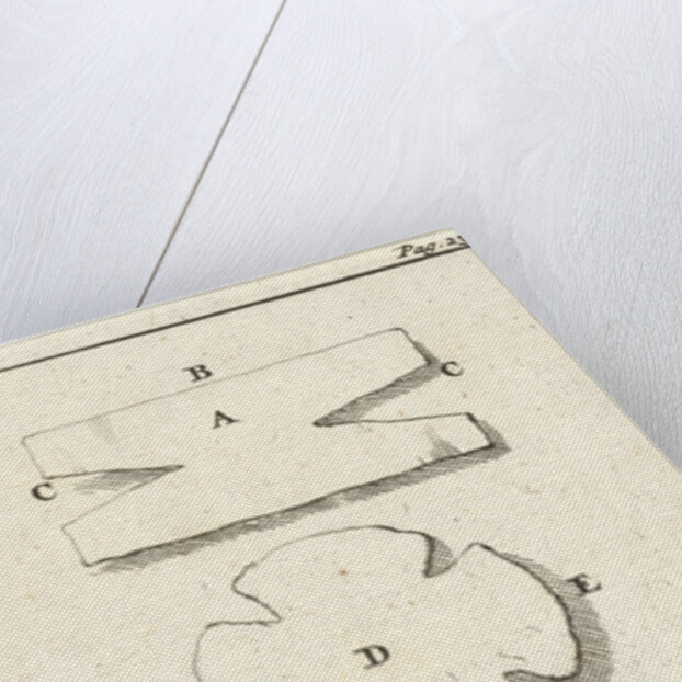 Display of different contexts AN by Jan Claesz ten Hoorn