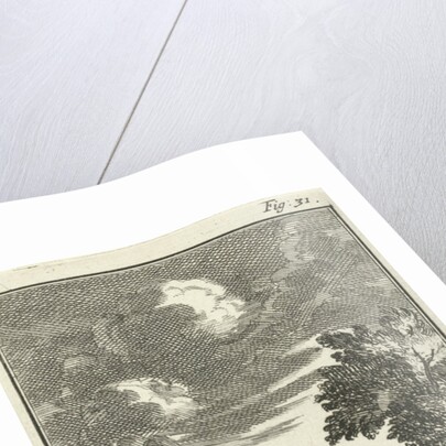 Europe and the bull by Barent Beeck