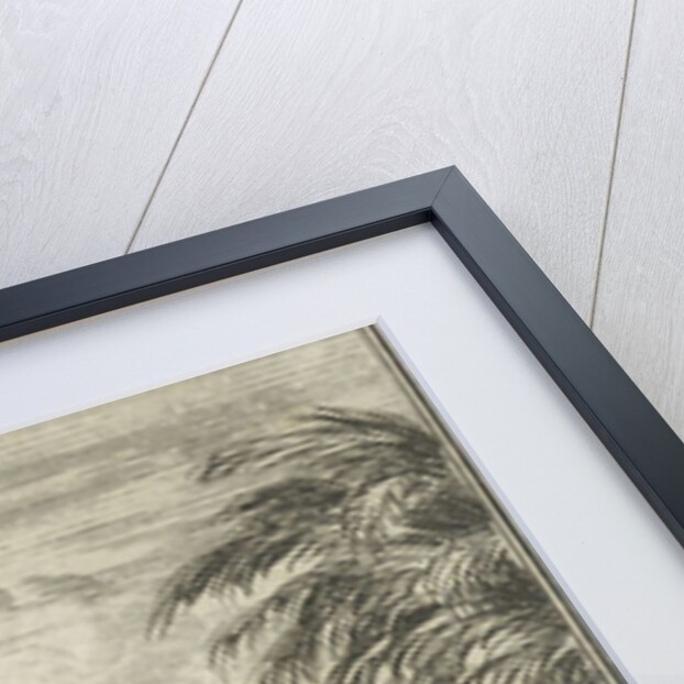 King Tomb to Golconda by Charles Angot