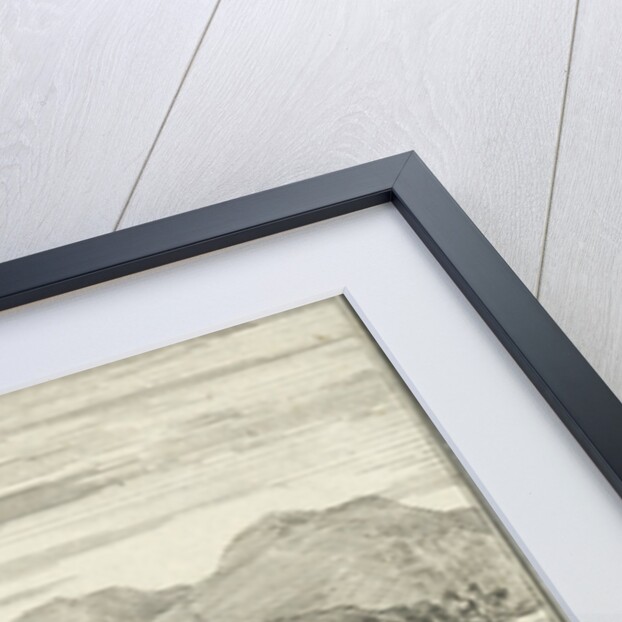 Caravan takes a sick Arab by Charles Angot