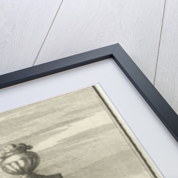 Study of the water level in Cairo, Egypt by Charles Angot