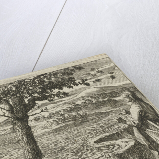 A man is witnessing a dike breach by Pieter Arentsz II