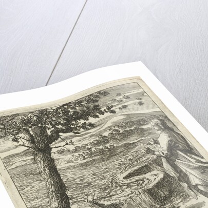 A man is witnessing a dike breach by Pieter Arentsz II