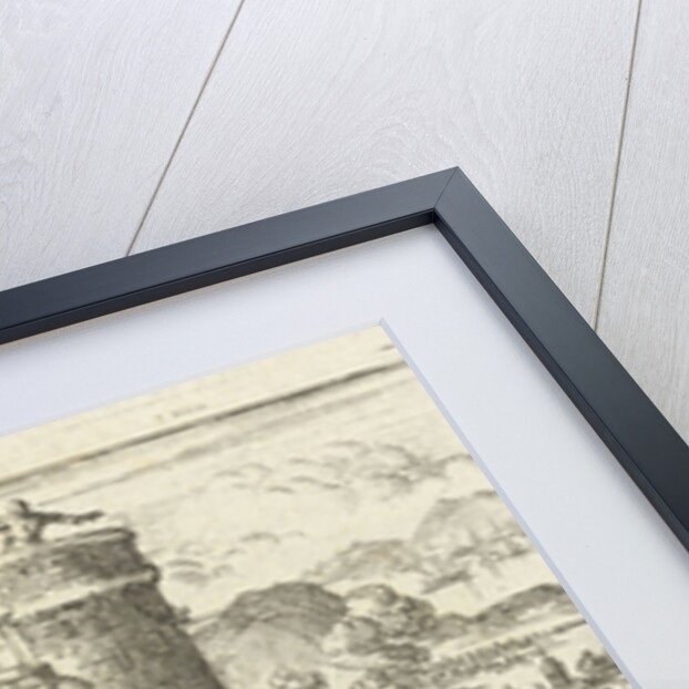 Fish gasping for air on dry land by Pieter Arentsz II