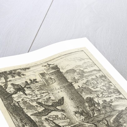 Fish gasping for air on dry land by Pieter Arentsz II