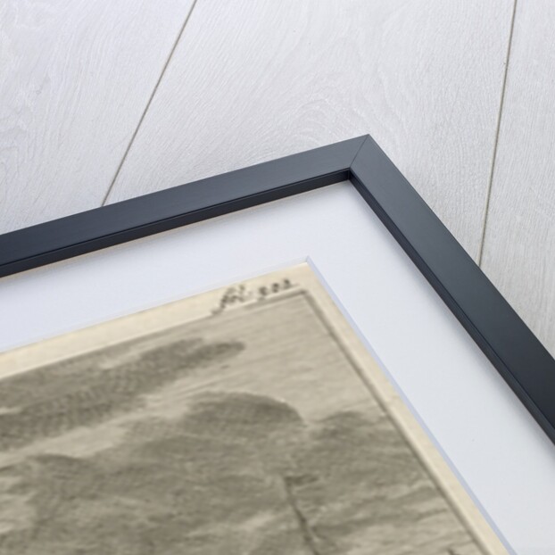 Flight of King James II, 1688 by Jan Claesz ten Hoorn