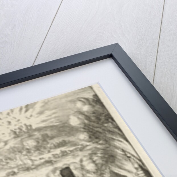 Murder, arson and destruction by the French in the Palatinate by Baltes Boekholt