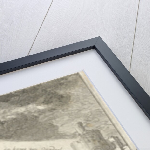 Resurrection of the dead by David Ruarus