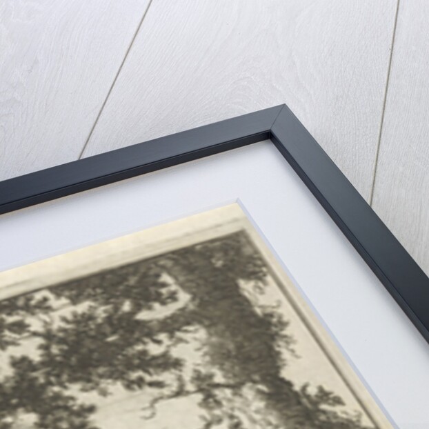 A woman picking a flower attacked by a snake by Pieter Arentsz II