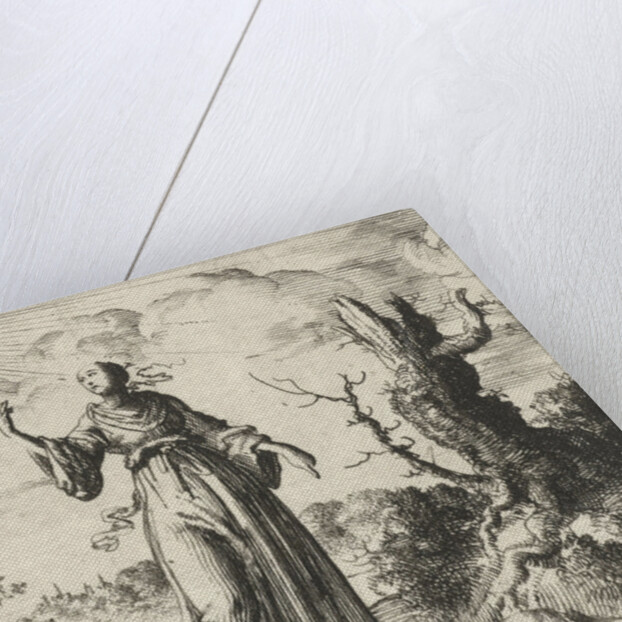 Female beholds her own shadow by Pieter Arentsz II