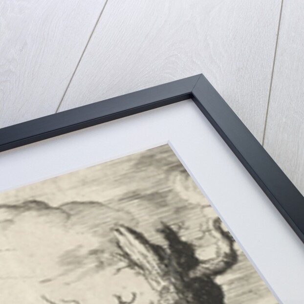 Female beholds her own shadow by Pieter Arentsz II