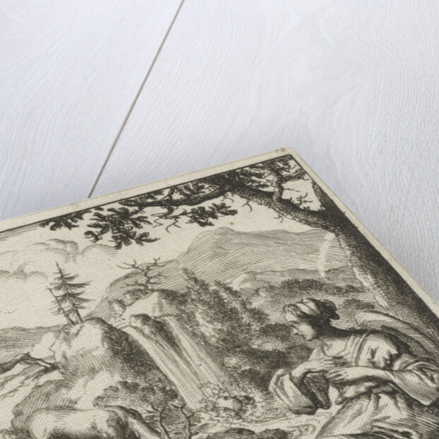 On the banks of a stream a woman sees a deer drinking by Pieter Arentsz II