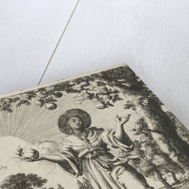 Woman collects fruits by Pieter Arentsz II