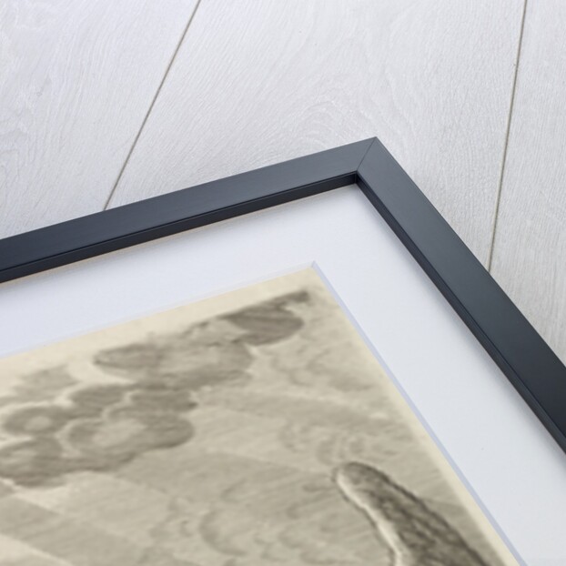 Dream of Jacob by Jan Houwensz II