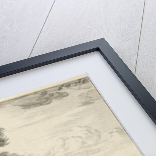 Hellespontic Sibyl by Timotheus ten Hoorn