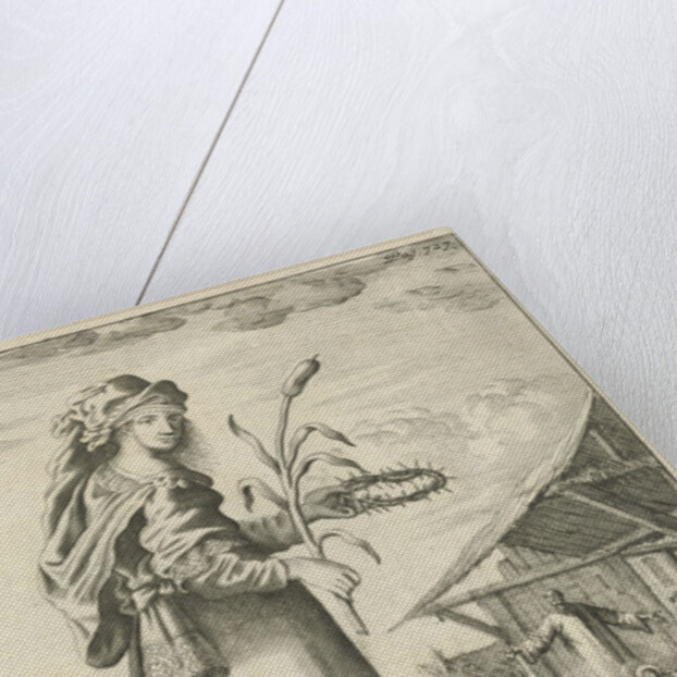 Sibyl of Samos by Timotheus ten Hoorn