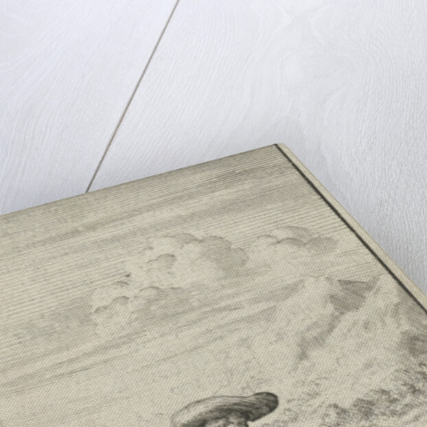 Christian finds Simple, Sloth and Audacious dormant by Johannes Boekholt