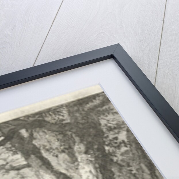 Godfrey of Bouillon free a lion from the stranglehold of a snake by Jan Luyken