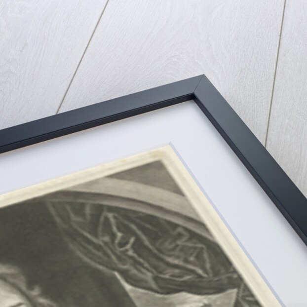 Portrait of David Flud van Giffen, pastor in Dordrecht by Anonymous