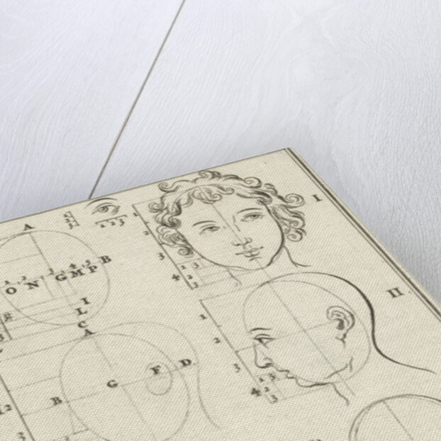 Eight heads, labeled I-IV by Willem Goeree