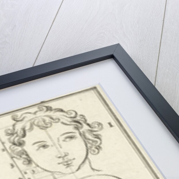 Eight heads, labeled I-IV by Willem Goeree