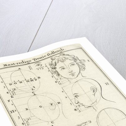 Eight heads, labeled I-IV by Willem Goeree