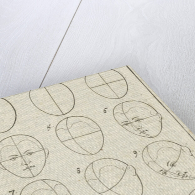 Twelve heads in different positions, labeled 1-12 by Willem Goeree