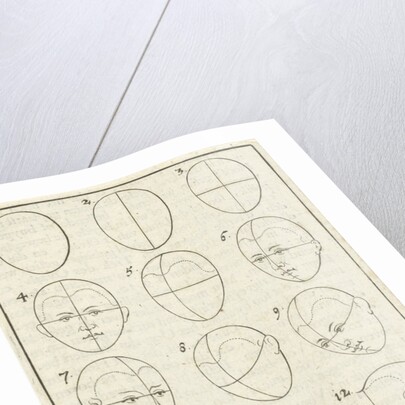 Twelve heads in different positions, labeled 1-12 by Willem Goeree