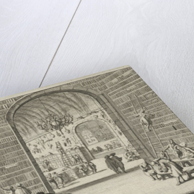 Imperial library and curiosities by Jan Claesz ten Hoorn