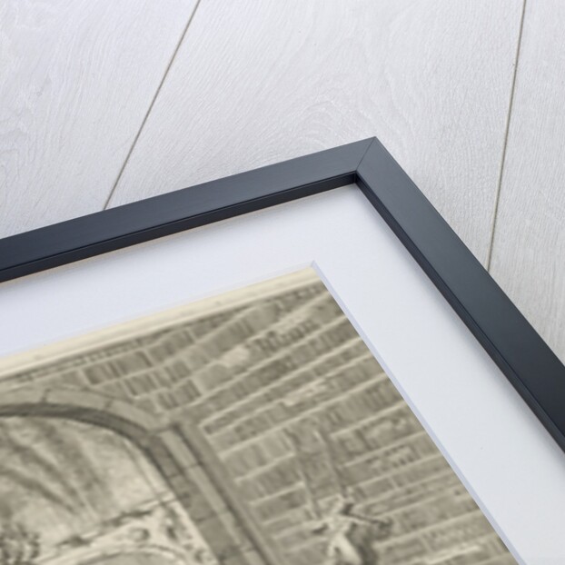 Imperial library and curiosities by Jan Claesz ten Hoorn