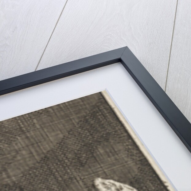 Liberation of Peter from prison by Anonymous