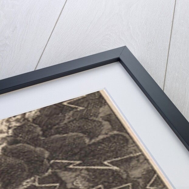 On Mount Sinai by Jan Luyken