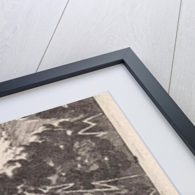 On Mount Sinai by Pieter Arentsz & Cornelis van der Sys II