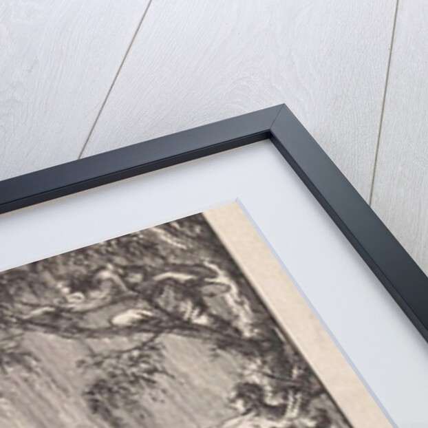 Flood by Pieter Arentsz & Cornelis van der Sys II