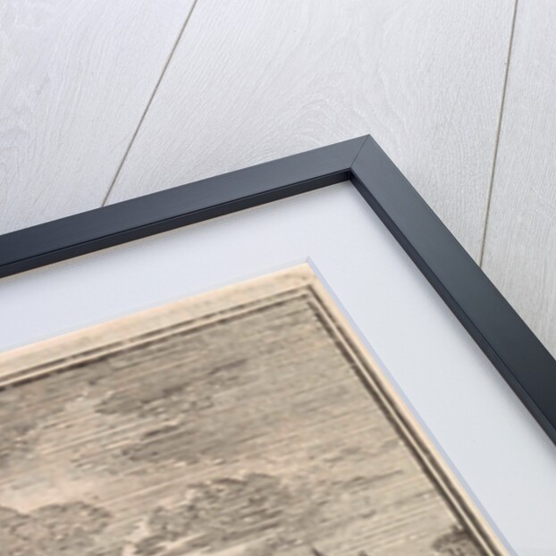 Dog chews off a bone by Pieter Arentsz & Cornelis van der Sys II