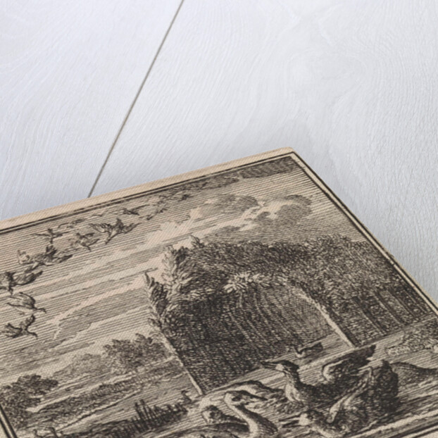 Wild and domestic ducks by Pieter Arentsz & Cornelis van der Sys II