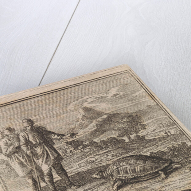 Two travelers admire a turtle by Pieter Arentsz & Cornelis van der Sys II