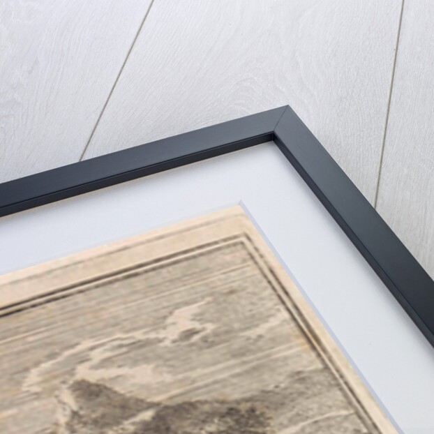 Two travelers admire a turtle by Pieter Arentsz & Cornelis van der Sys II