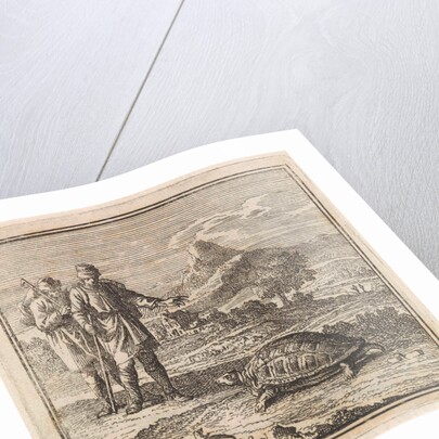 Two travelers admire a turtle by Pieter Arentsz & Cornelis van der Sys II