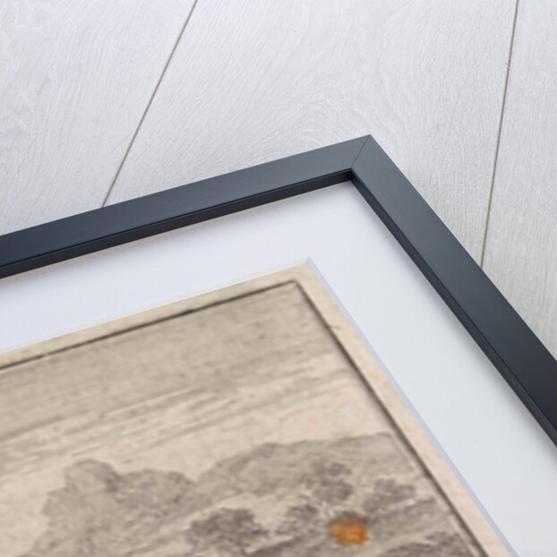 Two Abyssinian nobles being devoured by lions on the field that they ruined during their hunting by Frantz Martin Hertzen