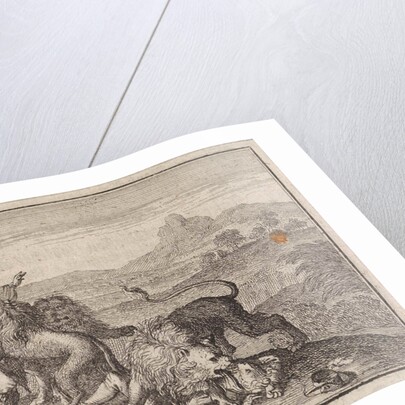 Two Abyssinian nobles being devoured by lions on the field that they ruined during their hunting by Frantz Martin Hertzen