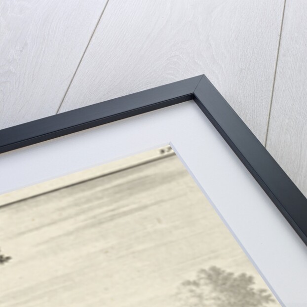 Turkish funeral by Jan Luyken