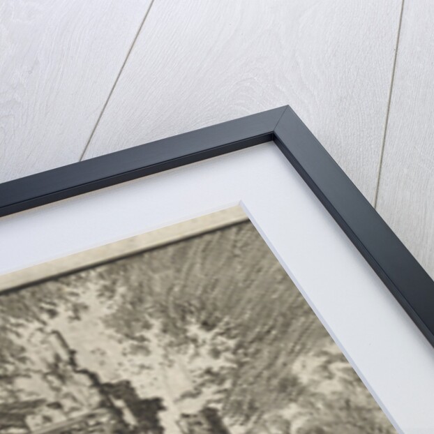 Romans kill the Jews, while the Temple burns by Barent Visscher