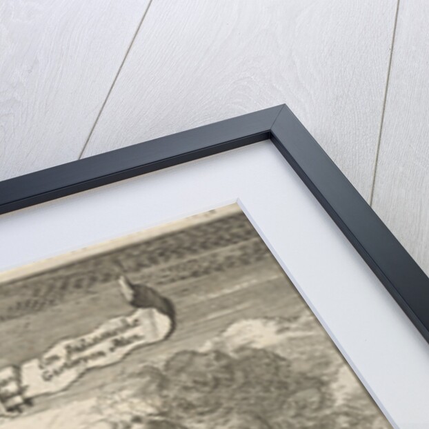 Indian woman with her deceased husband burned by Jan Claesz ten Hoorn