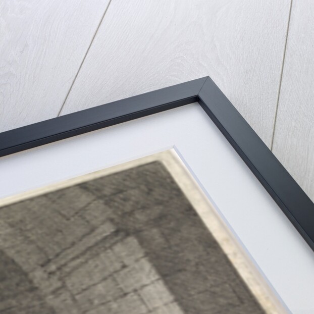 Caesonia and her daughter slain by Lupus by Pieter Mortier