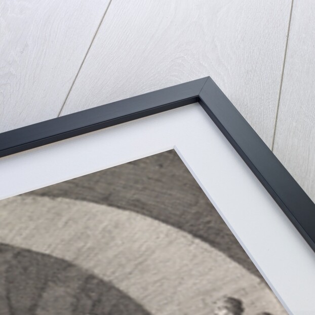 David's tomb opened by order of Herod for the second time by Pieter Mortier