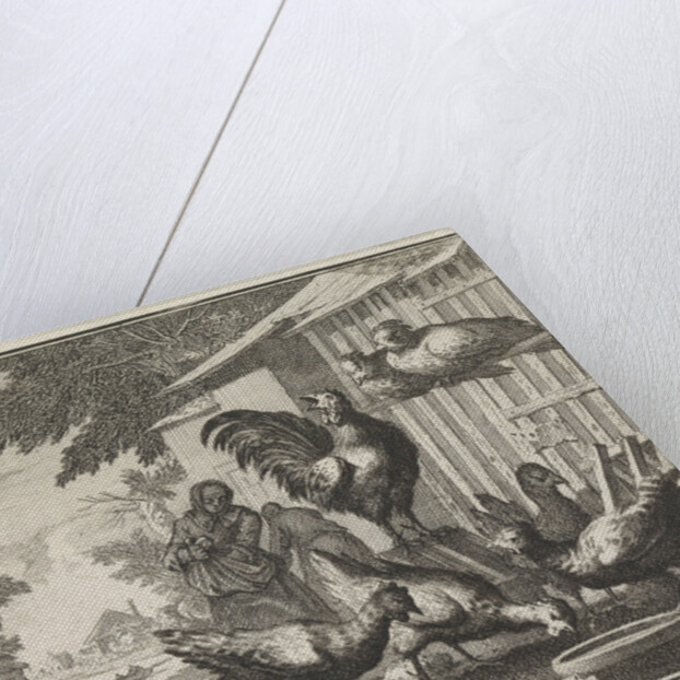 Emblem: Chicken by Christoph Weigel