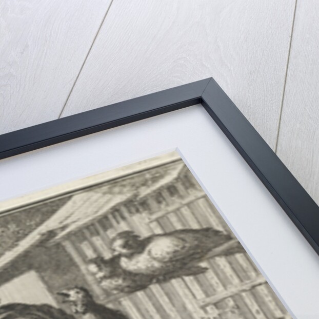 Emblem: Chicken by Christoph Weigel