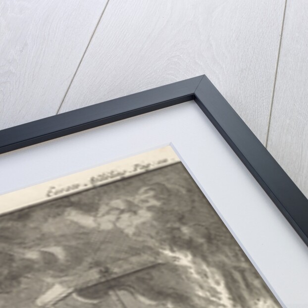 Suicide of a woman in Xanten by Jan Claesz ten Hoorn